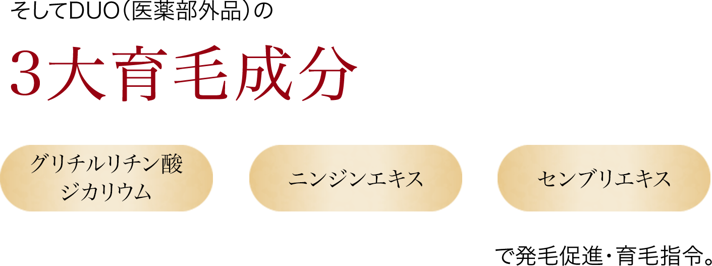 三大育毛成分|発毛・育毛・養毛にD-TRAD（ディートラッド）